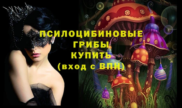 таблы Заводоуковск