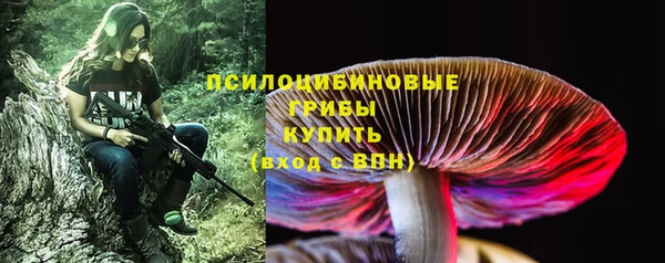 таблы Заводоуковск