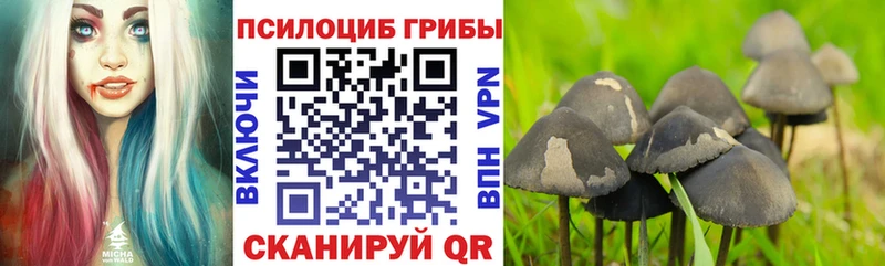 Псилоцибиновые грибы ЛСД  Светлогорск 
